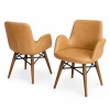 Cafe Berjer Modeli 17